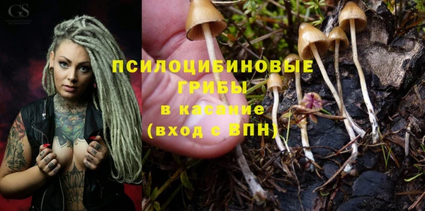 мдма Тайга