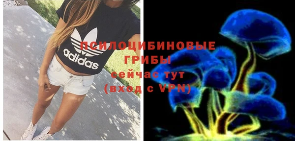 молекула духа Балабаново