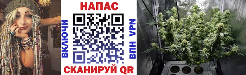 Каннабис Bruce Banner  что такое   Коряжма 